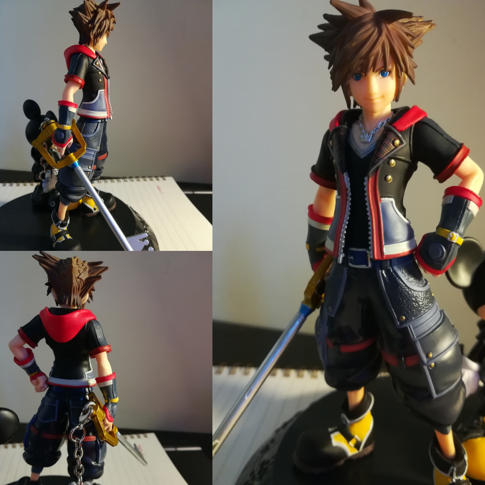 picture of Sora only